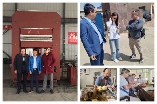 Τελευταία εταιρεία Λύσεις σχετικά Οι Ευρωπαίοι πελάτες αγόρασαν μηχανή βουλκανισμού για το χύτευμα καουτσούκ